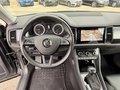 Daumennagel 11 - Skoda Kodiaq Soleil ACC|LEDER|CARPLAY|AHK|STANDHEIZUNG