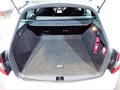 Daumennagel 14 - Skoda Octavia Combi RS 4x4 AHK|ACC|LED|DAB|LEDER