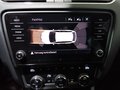 Daumennagel 11 - Skoda Octavia Combi RS 4x4 AHK|ACC|LED|DAB|LEDER
