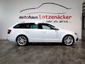 Daumennagel 6 - Skoda Octavia Combi RS 4x4 AHK|ACC|LED|DAB|LEDER