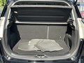 Daumennagel 12 - Ford B-MAX Titanium