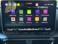 Daumennagel 14 - CUPRA Formentor VZ 2.0 TSI 245 kW 4Drive AHK|PANO|ACC|RFK|DCC