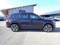 Daumennagel 6 - Skoda Kodiaq RS 4x4 ACC|360°|AHK|PANO|STANDHEIZUNG|DCC