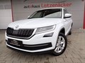 Daumennagel 1 - Skoda Kodiaq Style 4x4 1.Hd AHK LED ACC 360°