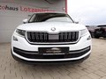 Daumennagel 2 - Skoda Kodiaq Style 4x4 1.Hd AHK LED ACC 360°