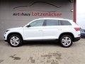 Daumennagel 3 - Skoda Kodiaq Style 4x4 1.Hd AHK LED ACC 360°