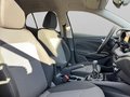 Daumennagel 21 - Skoda Fabia Drive 1,0 TSI 95 PS