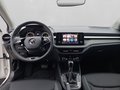 Daumennagel 16 - Skoda Fabia 1.0 TSI Tour 110 PS DSG,PDC,ACC,Funktion,Rü-Kam,Kessy,