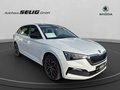 Daumennagel 3 - Skoda Scala 1.6 TDI DSG Style, ACC, Kamera, El. Heckklappe, ...