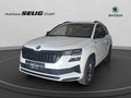 Daumennagel 1 - Skoda Karoq Sportline 1.5 TSI 110 kW 7-Gang DSG