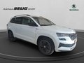 Daumennagel 3 - Skoda Karoq Sportline 1.5 TSI 110 kW 7-Gang DSG