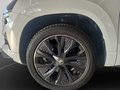 Daumennagel 12 - Skoda Karoq Sportline 1.5 TSI 110 kW 7-Gang DSG