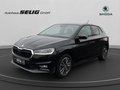 Daumennagel 1 - Skoda Fabia 1.0 TSI Tour