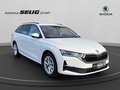 Daumennagel 3 - Skoda Octavia Combi 2.0 TDI DSG Selection, LED, PDC, ACC, Navi, AHK, ...