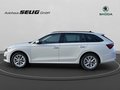 Daumennagel 11 - Skoda Octavia Combi 2.0 TDI DSG Selection, LED, PDC, ACC, Navi, AHK, ...
