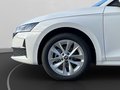 Daumennagel 12 - Skoda Octavia Combi 2.0 TDI DSG Selection, LED, PDC, ACC, Navi, AHK, ...