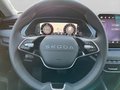 Daumennagel 14 - Skoda Octavia Combi 2.0 TDI DSG Selection, LED, PDC, ACC, Navi, AHK, ...