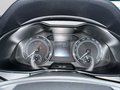 Daumennagel 19 - Skoda Kamiq Active 1.0 TSI 110PS, AHK. LED, Sitzhzg, Alu,
