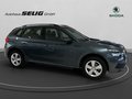 Daumennagel 5 - Skoda Kamiq Active 1.0 TSI 110PS, AHK. LED, Sitzhzg, Alu,