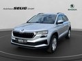 Daumennagel 1 - Skoda Karoq 1.5 TSI Selection, LED, Alu, Sitzhzg., PDC, Kamera, ...