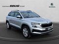 Daumennagel 3 - Skoda Karoq 1.5 TSI Selection, LED, Alu, Sitzhzg., PDC, Kamera, ...