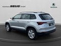 Daumennagel 9 - Skoda Karoq 1.5 TSI Selection, LED, Alu, Sitzhzg., PDC, Kamera, ...