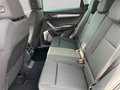 Daumennagel 14 - Skoda Karoq 1.5 TSI Selection, LED, Alu, Sitzhzg., PDC, Kamera, ...