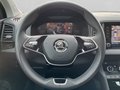 Daumennagel 15 - Skoda Karoq 1.5 TSI Selection, LED, Alu, Sitzhzg., PDC, Kamera, ...