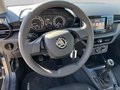 Daumennagel 14 - Skoda Fabia 1.0 TSI Active, Alu, LED, PDC, Sitzhzg,...