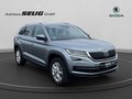 Daumennagel 3 - Skoda Kodiaq Style 4x4 150 PS DSG, AHK, Navi,SH, PDC,