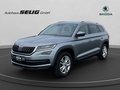 Daumennagel 1 - Skoda Kodiaq Style 4x4 150 PS DSG, AHK, Navi,SH, PDC,