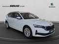 Daumennagel 3 - Skoda Octavia Combi 2.0 TDI DSG Selection, LED, PDC, ACC, Navi, AHK, ...
