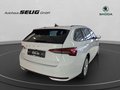 Daumennagel 6 - Skoda Octavia Combi 2.0 TDI DSG Selection, LED, PDC, ACC, Navi, AHK, ...