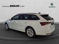 Daumennagel 9 - Skoda Octavia Combi 2.0 TDI DSG Selection, LED, PDC, ACC, Navi, AHK, ...