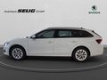 Daumennagel 11 - Skoda Octavia Combi 2.0 TDI DSG Selection, LED, PDC, ACC, Navi, AHK, ...