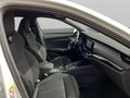Daumennagel 21 - Skoda Octavia Combi 1.5 TSI 7-Gang DSG ACT TSI 150 PS,Sportline ,Columbus,Reise,Parken