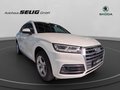 Daumennagel 3 - Audi Q5 40 TDI quattro sport