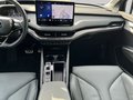Daumennagel 17 - Skoda Enyaq Coupé RS, AHK, ACC, Kamera, ...