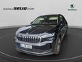 Daumennagel 1 - Skoda Kodiaq Selection 2,0 TDI 142 kW DSG 4x4, AHK, 7 Sitzer, Leder,Kamera,Standheizung