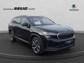 Daumennagel 2 - Skoda Kodiaq Selection 2,0 TDI 142 kW DSG 4x4, AHK, 7 Sitzer, Leder,Kamera,Standheizung