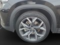 Daumennagel 11 - Skoda Kodiaq Selection 2,0 TDI 142 kW DSG 4x4, AHK, 7 Sitzer, Leder,Kamera,Standheizung