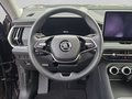 Daumennagel 14 - Skoda Kodiaq Selection 2,0 TDI 142 kW DSG 4x4, AHK, 7 Sitzer, Leder,Kamera,Standheizung