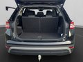 Daumennagel 19 - Skoda Kodiaq Selection 2,0 TDI 142 kW DSG 4x4, AHK, 7 Sitzer, Leder,Kamera,Standheizung