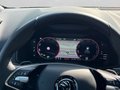 Daumennagel 19 - Skoda Karoq 2.0 TSI 4x4 DSG Sportline, Navi, AHK, Canton, Leder, AreView, ...