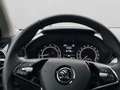 Daumennagel 19 - Skoda Fabia 1.0 TSI 95 PS Ambition,PDC,SH,Climatronic,Rü-Kam,SmartLink