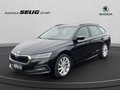 Daumennagel 1 - Skoda Octavia Combi First Edition 2.0 TDI 150 PS 7-Gang DSG,
