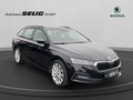Daumennagel 3 - Skoda Octavia Combi First Edition 2.0 TDI 150 PS 7-Gang DSG,