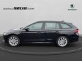Daumennagel 11 - Skoda Octavia Combi First Edition 2.0 TDI 150 PS 7-Gang DSG,