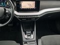 Daumennagel 17 - Skoda Octavia Combi First Edition 2.0 TDI 150 PS 7-Gang DSG,