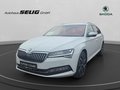 Daumennagel 1 - Skoda Superb Combi Style 2,0 TDI DSG